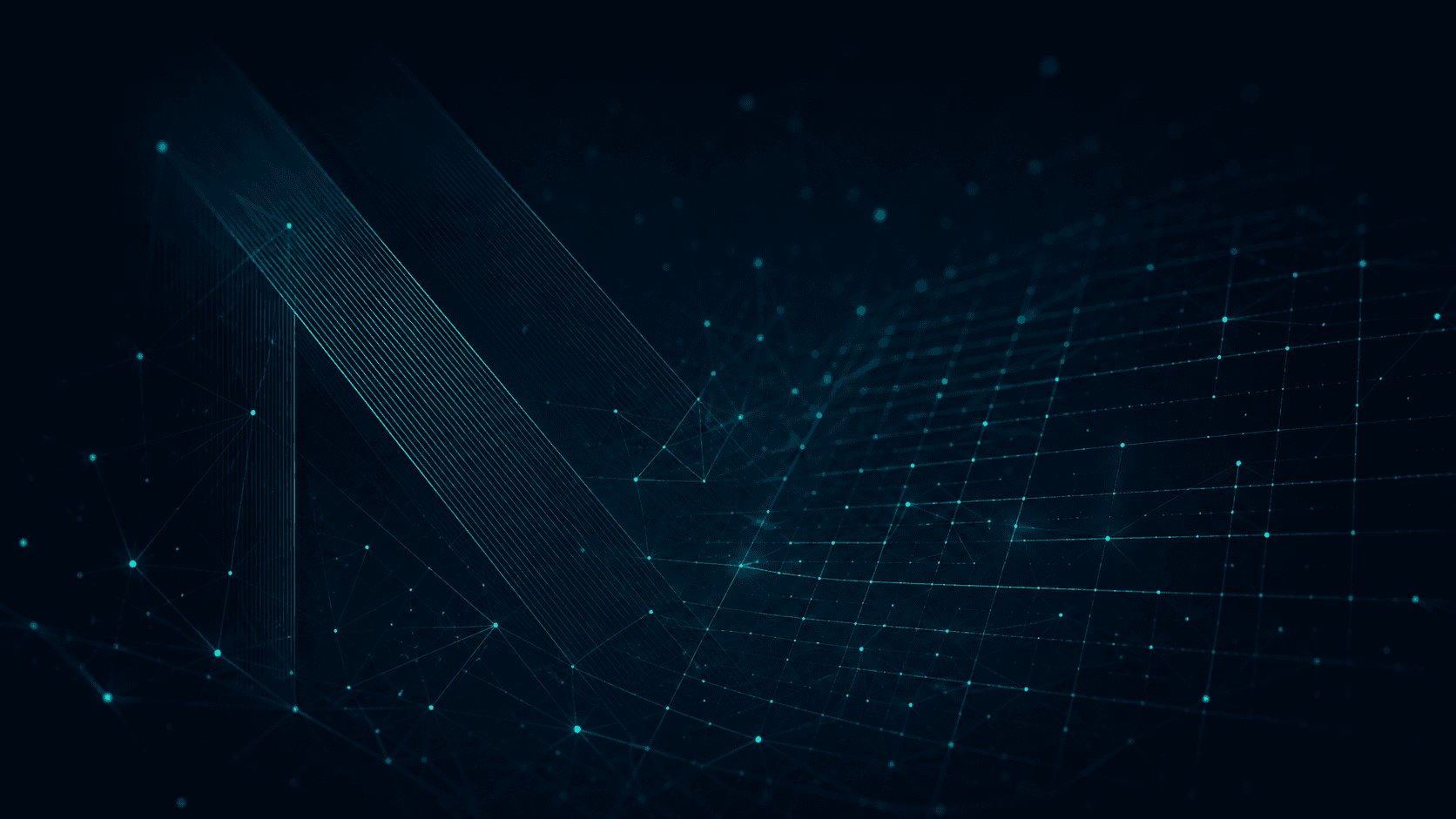 Netto product screenshot