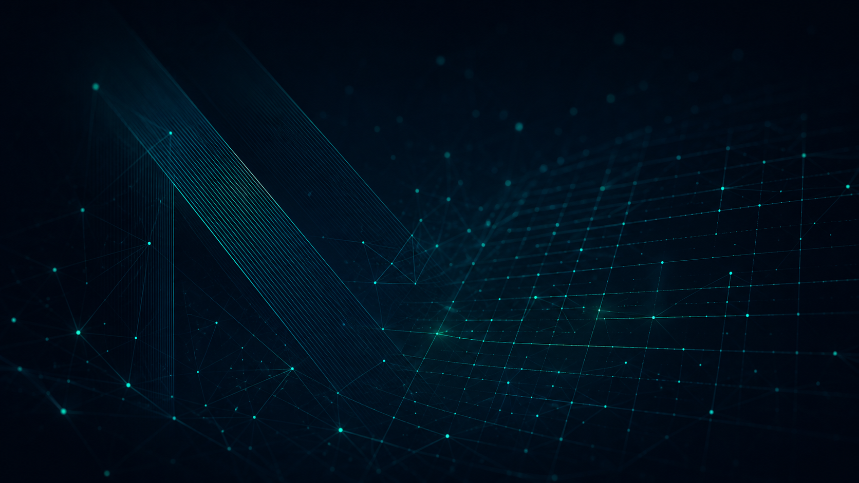 Netto product screenshot